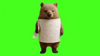 Wombo Rollo Italian Brainrot - Green Screen
