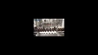 SL2-200 Label Machine
