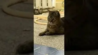 #reels, #trending, #tranding, #reelsviral, #reelsinsta, #reelsvideos, #reelsofinstagram
