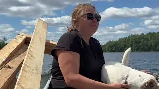 Они дали нам здание бесплатно... Теперь нам нужно перевезти его через озеро! 🤯🛶