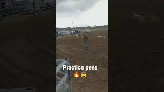 practice bulls #teamtoledo