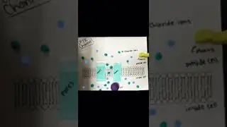 Cystic Fibrosis - Cell Signaling