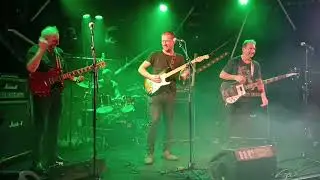 The froggers - Live at La nouvelle vague - 24/01/2024