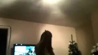 WHIP MY HAIR