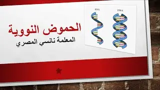 احياء توجيهي / الحموض النووية