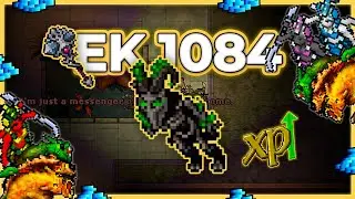 EK 1084 Solo True Asura 6.2kk/h Raw + 2.2kk Profit - Tibia Hunt [13.00]#tibia #tibiahunt #hunts