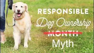 Responsible Dog Owners Do Not Exist