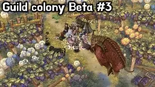 [TOS] Guild colony Beta #3 / Territory war #3