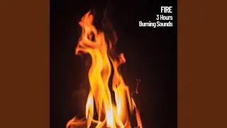 3 Hours of Fire Sounds
