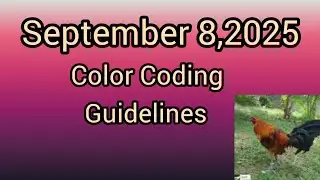September 8,2025 Color Coding guidelines.