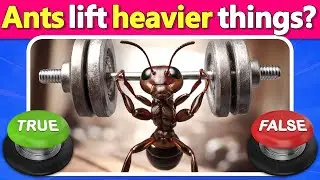 ⭕❌ TRUE or FALSE Animal & Insect Quiz 🐜🦁 Shocking Facts! | Quiz DingDong