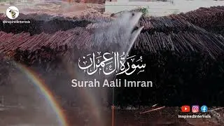 Surah Al-Insaan (Few Verses) | Emotional Quran Recitation | Salman Al-Utaybi
