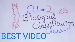 Class11 Ch2 Biological Classification|Introduction|Types of classification|Aristotle| #pkpbio |pkp|