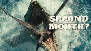 Mosasaur Skull In 4K! Did It Have A Second, Alien, Jaw? A Third Eye? #fossils #ancient #science