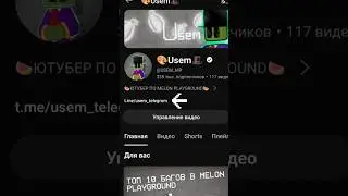 КАК СКАЧИВАТЬ МОДЫ В MELON PLAYGROUND?