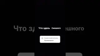 23 декабря 2023 г.