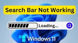Windows 11 Search Bar is Not Working - Quick Fix