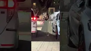 Exclusive  Rasha Tandon spotted in Bandra | Rasha Tandon Viral VIdeo | Bollywood Celebrity #shorts