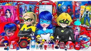 Miraculous Ladybug Toys Collection ASMR Unboxing Review | Mystery Marinette & Adrien Surprise Boxes