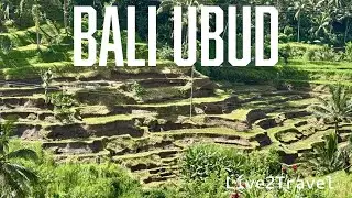 Bali Ubud - Amazingly beautiful must see place to visit!!!