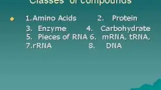 SEMISYNTHETIC LIFE 3.flv