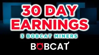 X3 Bobcat Miners - 30 Day Earnings, 3 Locations | Helium Mining ($HNT)