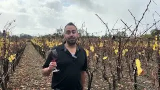 Day 4 - 2025 Boisset Luxury Wine Advent - In Good Taste