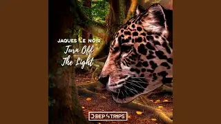 Turn Off The Light (Sandro Marini Remix)
