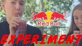 Red Bull Experiment [ft: Carissa]