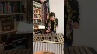 Seven Nation Army on 5 Different Mallet Instruments