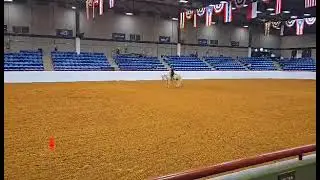 FWSSR AQHA Show 2025
