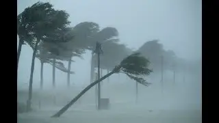 The Unimaginable Horror of Cyclone Hidaya