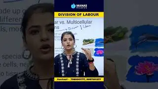 What is division of labour #shorts #facts #biology