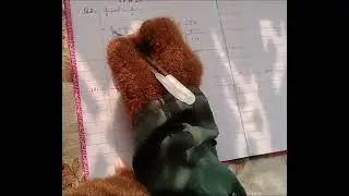#Countdown