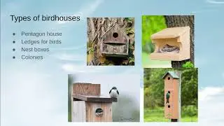 Birdhouses - Keeping Birds Safe
