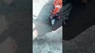 Dog rescue: Construction workers save young dog from a pit 🐶