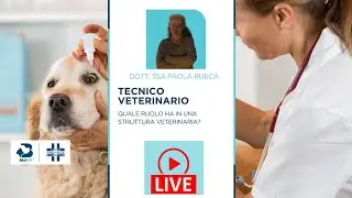 Tecnico Veterinario - ruolo, compiti e formazione