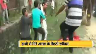 Ratabari, Assam में हाथी से गिरे असम के डिप्टी स्पीकर