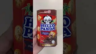 Meiji Hello Panda Chocolate Biscuit 🇯🇵🍫🍪🐼 #food #foodie #dessert #sweets #japanesefood