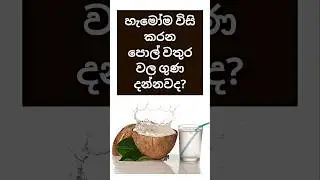 🥥 පොල් වතුර තාමත් විසි කරනවද? | Coconut Water Power | Natural Health Booster #shorts #ayumist