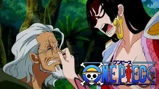 The Most Unexpected Twist in One Piece! Boa & Rayleigh Father & Daughter?!