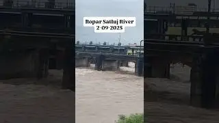 Flood report Ropar Punjab⛈️ #dailyvlog #itslakshyavlogs #floodzone #redalert #ropar #rupnagar #vlog