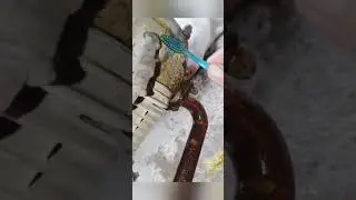 how to clean exhaust pipe full of rust with a chemical