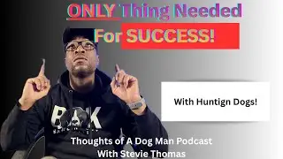 Number 1 Secret Any New Handler Needs To Know With Hunting Dogs
