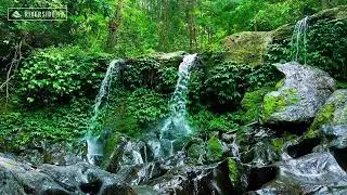 Deep Sleep River Sounds | Calm Natural Water Flow White Noise for Restful Nights