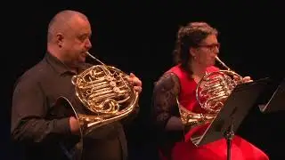 Vánoční koncert  - Jiří Ignác Linek (1725-1791): Sinfonia pastoralis in D