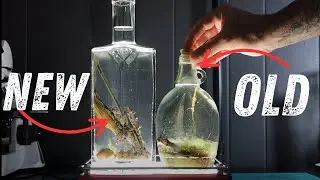I created a new ecosphere! - Jarspermia will it work?