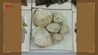 돌로 꾸민 food
