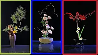 Modern Ikebana with Dramatic Contrast | Japanese Floral Art in Black