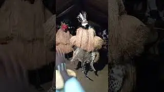 Anzal la nouvelle dimension